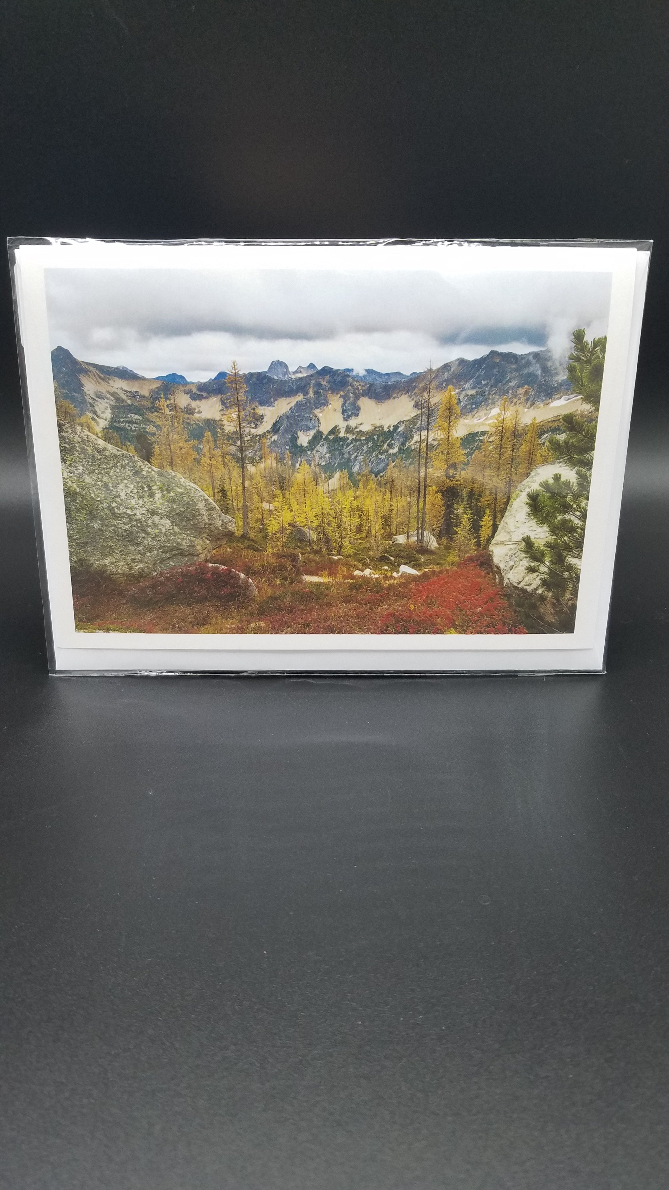 Mitchell Image - Notecards